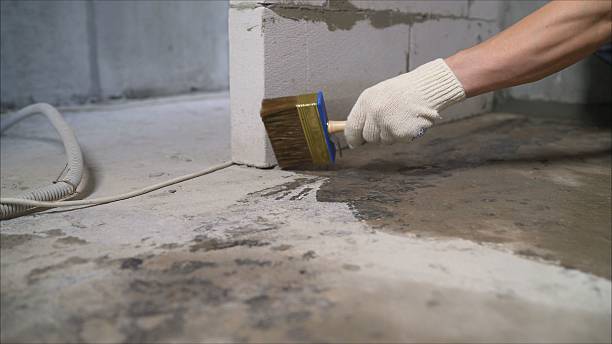 24/7 Emergency Crawl Space Encapsulation experts in Palmyra, WI